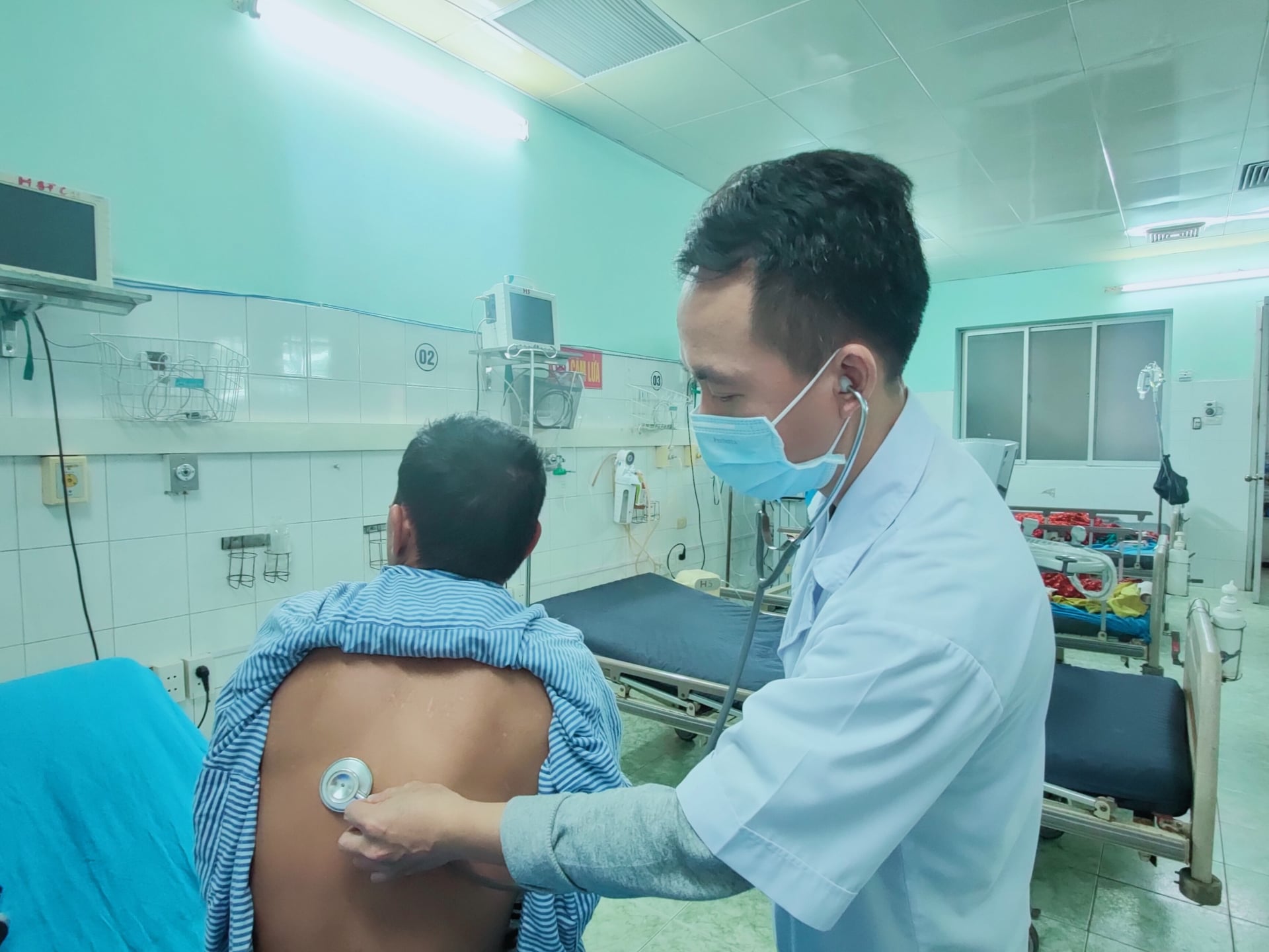 Cảnh báo ngộ độc Cỏ Mỹ