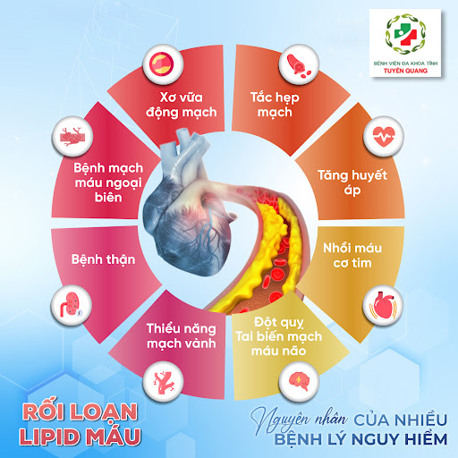 RỐI LOẠN MỠ MÁU – KẺ THÙ THẦM LẶNG CỦA TRÁI TIM